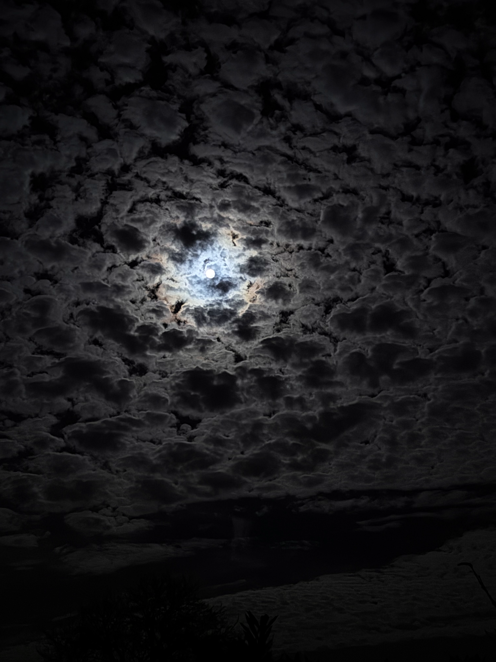 Wie das Leben so spielt … oder: das Ding mit dem Tod